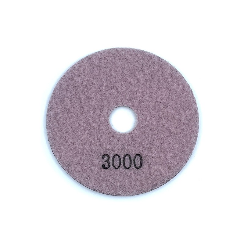 Paduri / dischete diamantate pt. slefuire uscata ECO 3000 Ø125mm