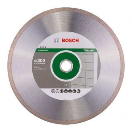 2608602639 BOSCH Disc diamantat pentru gresie, 300x30/25.4 mm