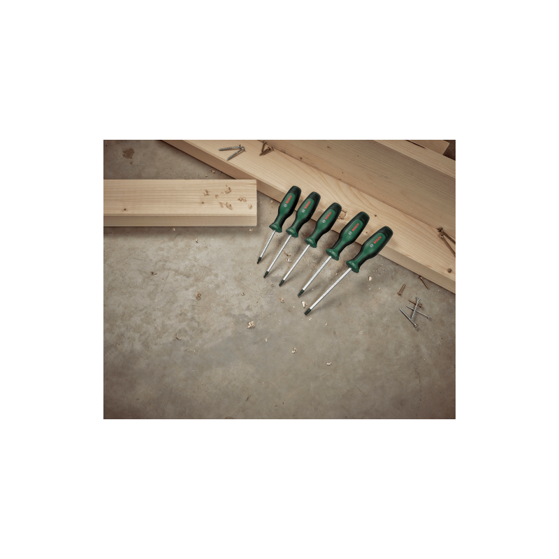 BOSCH Set 5 surubelnite cu profil torx T10, T15, T20, T25, T30, otel dur S2