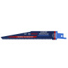 BOSCH EXPERT Set 10 panze pentru fierastrau sabie,otel si sticla,150mm