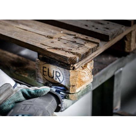 2608900388 BOSCH EXPERT Set 10 panze fierastrau sabie, lemn/lemn cu cuie, 225 mm