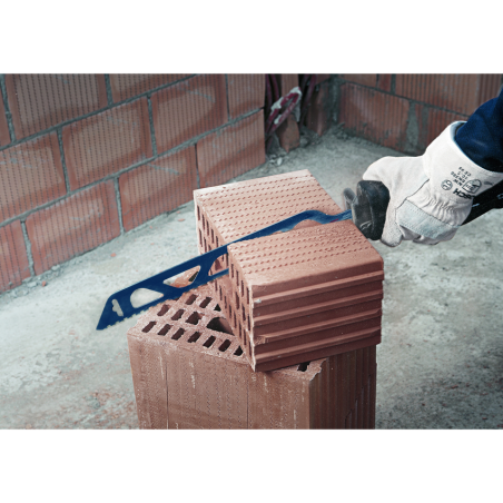 BOSCH EXPERT Set 10 panze de fierastrau sabie, caramida Hollow Brick,240 mm