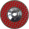RAIDER RD-DD25 Disc diamantat pentru slefuit, prindere M14, 115X22.2mm