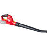 RAIDER Suflanta frunze compatibila cu acumulator Li-Ion 20 V, 5 m3/min