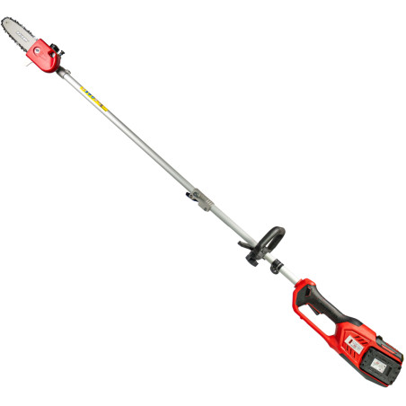 RAIDER Fierastrau electric pentru crengi 4 in 11 cu acumulator Li-Ion 40V