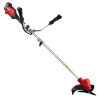 RAIDER Trimmer pliabil compatibil cu Li-Ion 20V, 4Ah cu lama/mosor