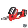RAIDER Mini Fierastrau cu lant cu Li-Ion 20V 4Ah, pas lant 1/4, 150mm