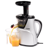 LUND Storcator fructe lent 150W,3 filtre,perie de curatat,Recipient pulpa