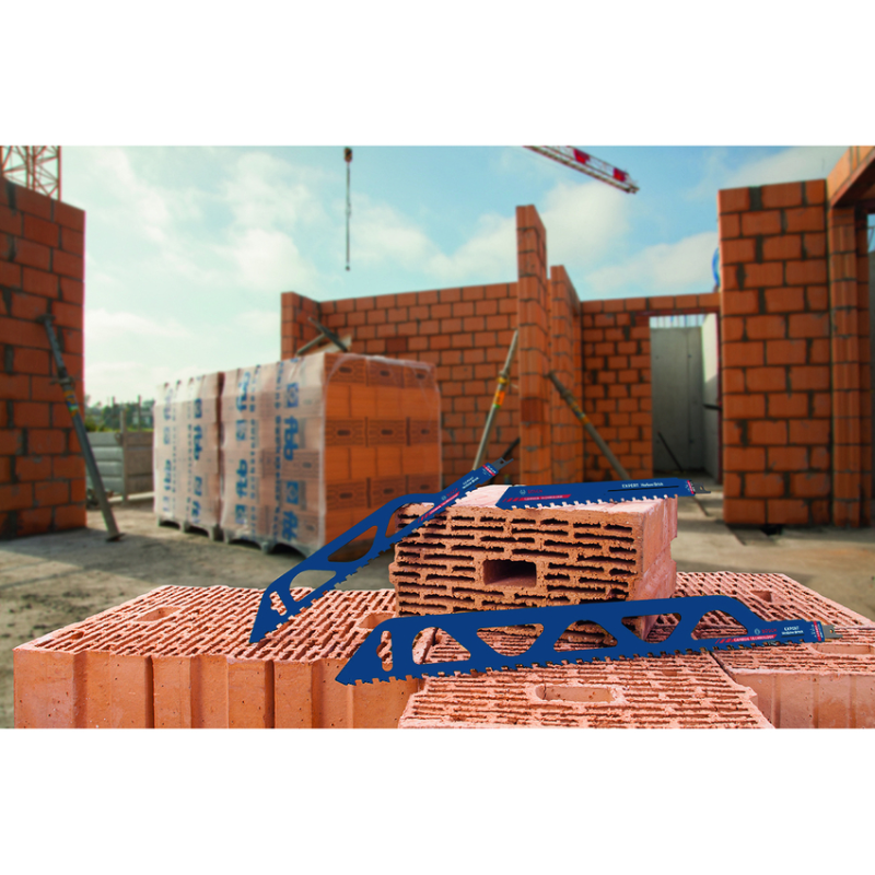 BOSCH EXPERT Panza fierastrau sabie pentru caramida cu goluri Hollow Brick, 300 mm