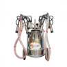 EMT Aparat muls vaci, un bidon inox 25L, 2 posturi, pompa vacuum ulei