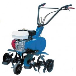 5593H Motosapa AGT