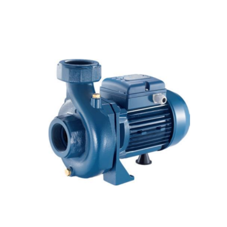 Q060080000ZX  PENTAX CS200/2 Pompa de suprafata 1.5 kW, 54.000 l/h