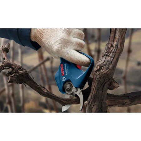06008D8100 BOSCH GGP 12V-25 Foarfeca crengi cu 2 x Li-Ion 12V 3Ah 25mm