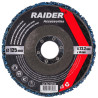 164139 Raider Disc curatare vopsea Blue 125x22.2x14mm
