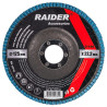 164134 Raider Disc lamelar zirconiu, diametru 125 mm, granulatie 100