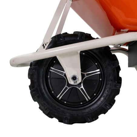 20000RTS25A RURIS RTS2000 Roaba autopropulsata electric, 500 W