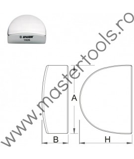 Nicovala calcai UNIOR