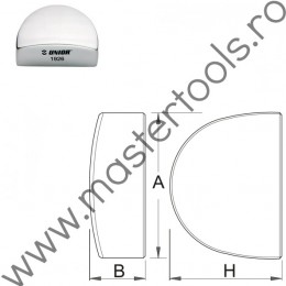 Nicovala calcai UNIOR