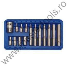 66720 VOREL Trusa biti hexagonali si adaptor, 15 piese