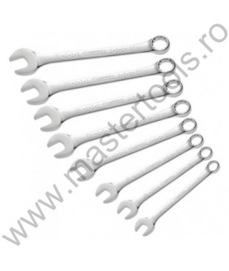 EXPERT FACOM Set 8 chei combinate