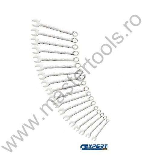 EXPERT FACOM Set 12 chei combinate METRIC