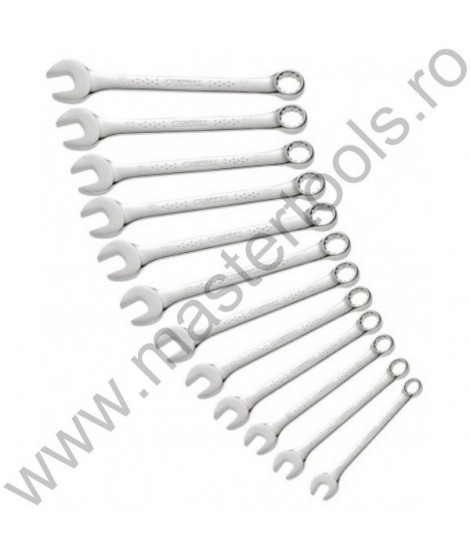 EXPERT FACOM Set 12 chei combinate in suport METRIC