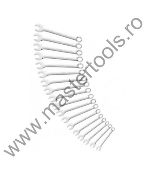 EXPERT FACOM Set METRIC 16 chei combinate