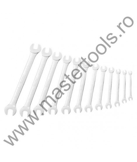 EXPERT FACOM Set 12 chei fixe