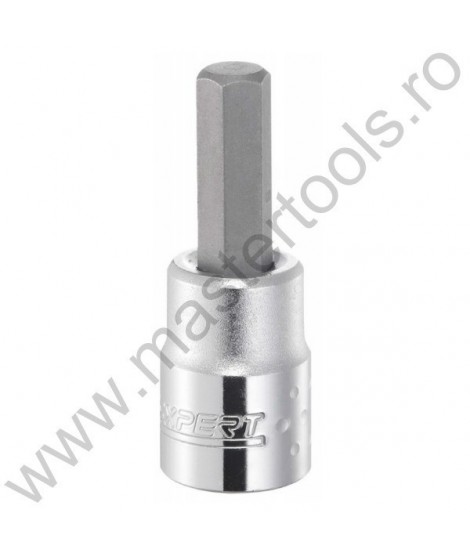 EXPERT FACOM Capete chei tubulare cu bit hex prindere patrat 3/8