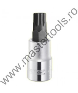 EXPERT FACOM Cap cheie tubulara cu bit XZN prindere patrat 1/2