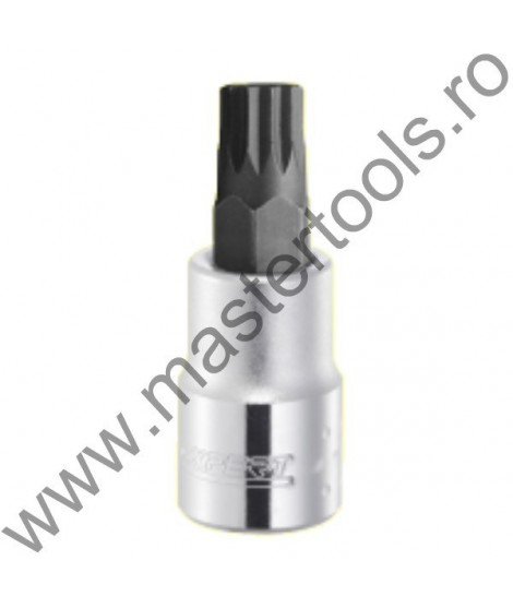 EXPERT FACOM Cap cheie tubulara cu bit XZN prindere patrat 1/2