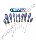 EXPERT FACOM Set 10 surubelnite drepte late si Phillips
