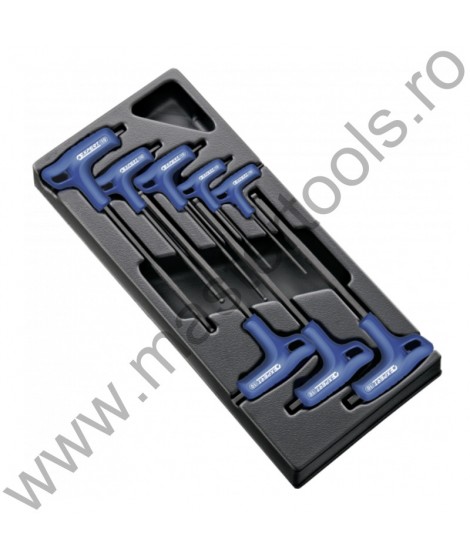 EXPERT FACOM Modul 8 Imbus-uri cu maner P