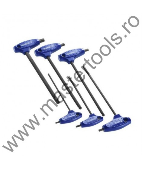 EXPERT FACOM Set 6 Imbusuri cu maner P cu bila 3-8 mm