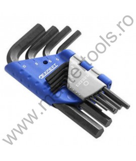 EXPERT FACOM Set 9 imbusuri scurte