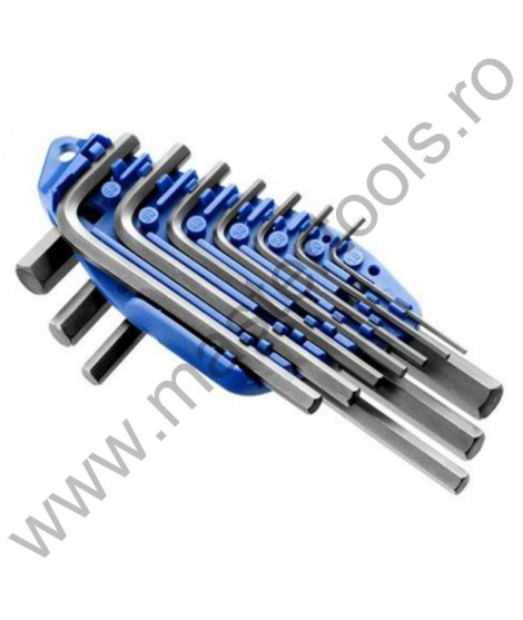 EXPERT FACOM Set 10 imbusuri scurte 2-10 mm