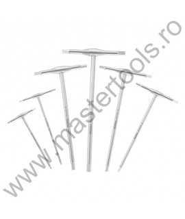 EXPERT FACOM Set 6 imbusuri hexagonale cu manere T metalice