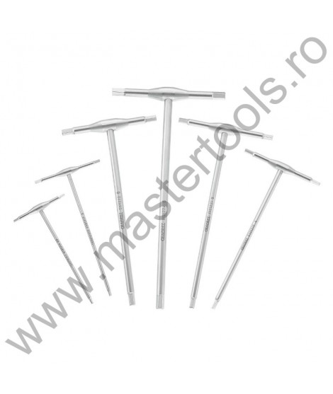 EXPERT FACOM Set 6 imbusuri hexagonale cu manere T metalice