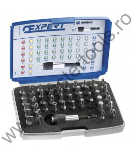 EXPERT FACOM Set 48 biti cu adaptor magnetic prindere 1/4
