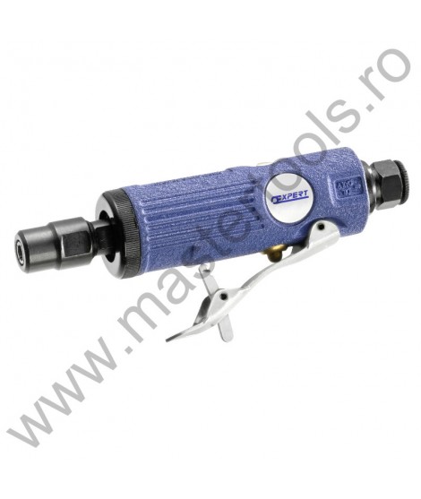 EXPERT FACOM Polizor drept mini 6 mm prindere 1/4