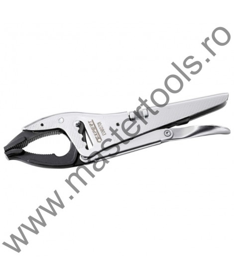 EXPERT FACOM Cleste cu blocare de capacitate mare 250 mm