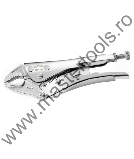 EXPERT FACOM Cleste cu blocare curbat 145 mm/6"