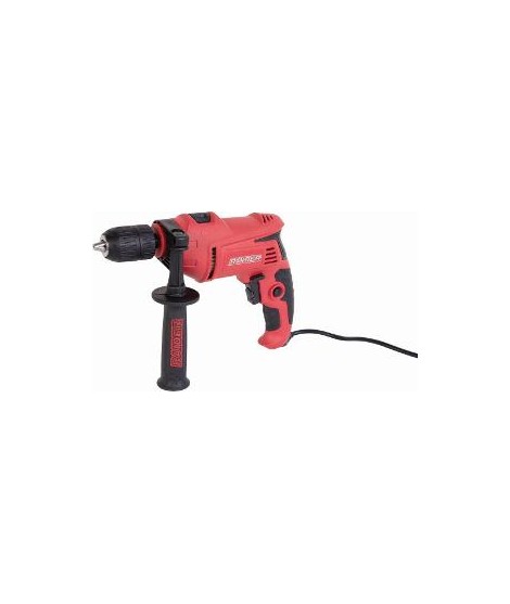 010140 RAIDER RD-ID40 Bormasina cu percutie 650W