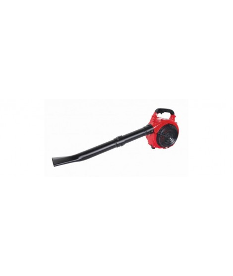 077401 RAIDER RD-GBV05 Aspirator cu tocator si suflanta benzina 750W 30L