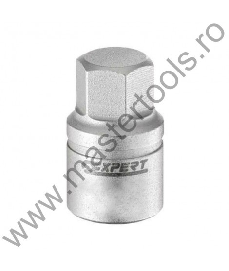 EXPERT FACOM Cap cheie buson cu profil hexagonal tata