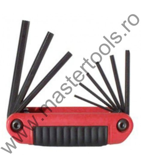 EKLIND Set 9 chei locas hexagonal tip briceag