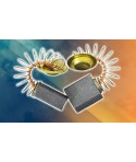 Bosch 1619P10063 Perii colectoare GKS 165 ,GKS 55+ G,GKS 600