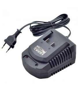 RAIDER 032601 Incarcatoracumulator litiu ion 20V RDI-CDB01 si IBW01