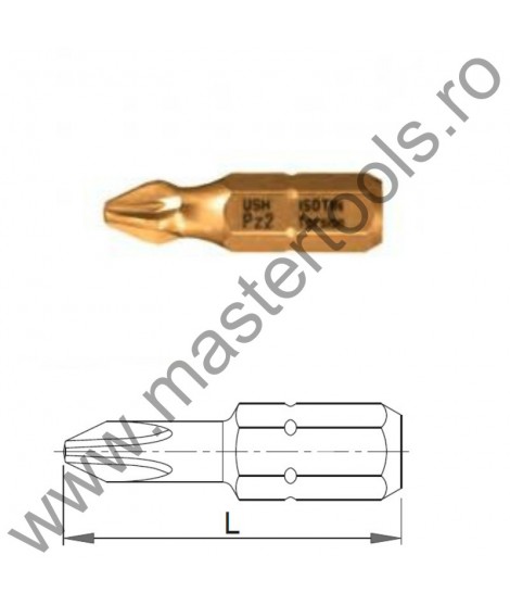 USH Seturi 10 Biti hexagonali 1/4" DIN 3126 - Forma C 6,3 - profil Pozidriv - ISOTIN® PZ