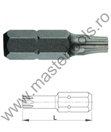COBIT Biti TORSION 1/4" DIN/ISO 1173  Forma C 6,3 profil TORX cu gaura